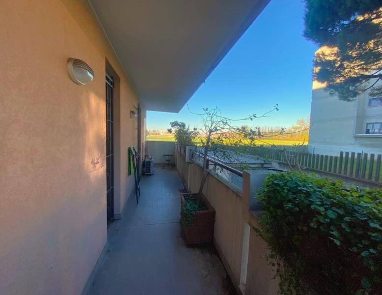 immagine annuncio 3 di 12