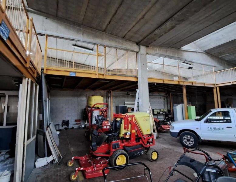 immagine annuncio 10 di 15