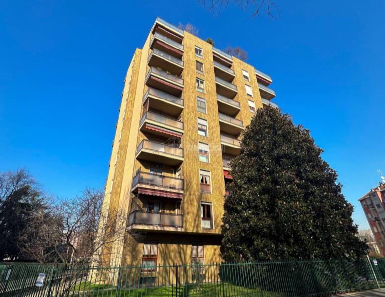 immagine annuncio 8 di 11