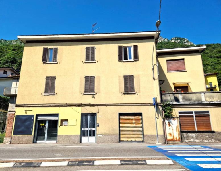 immagine annuncio 3 di 12