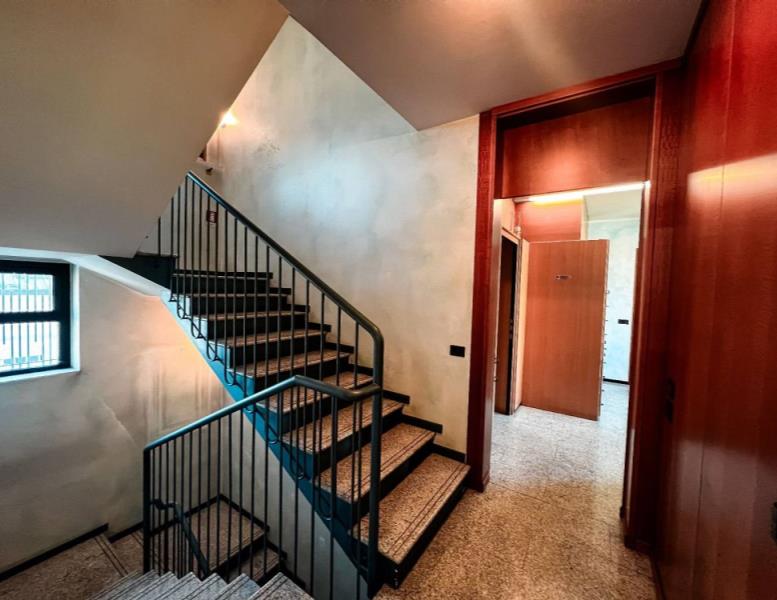 immagine annuncio 7 di 14