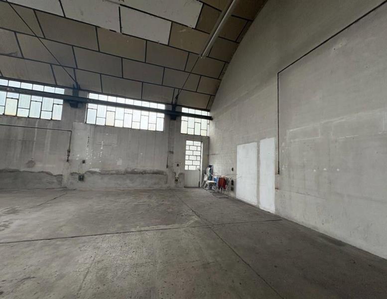 immagine annuncio 5 di 12