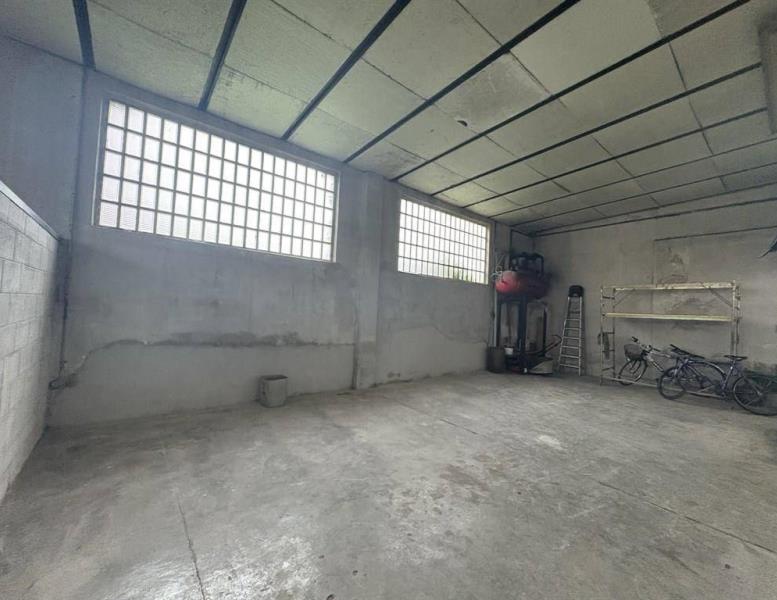 immagine annuncio 4 di 12