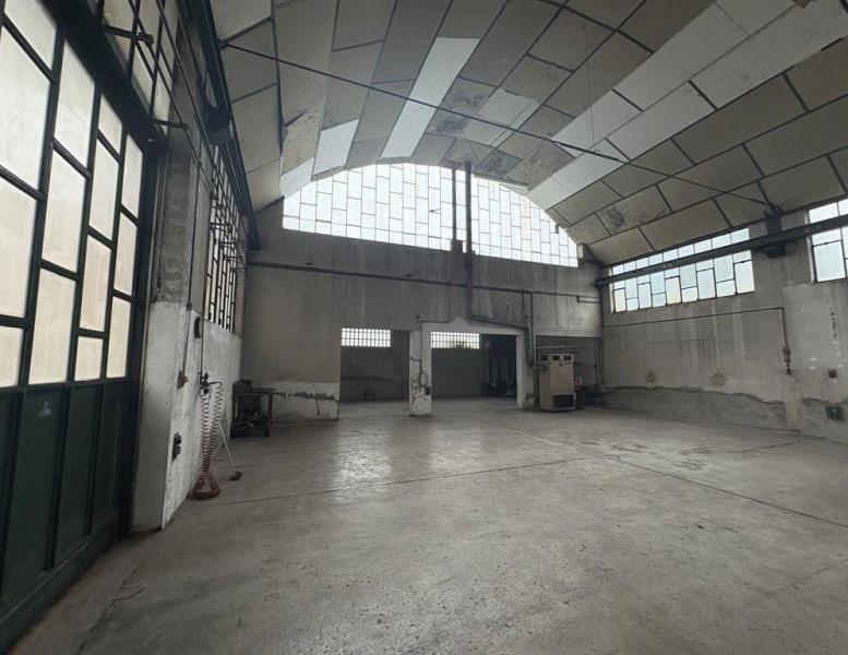 immagine annuncio 2 di 12