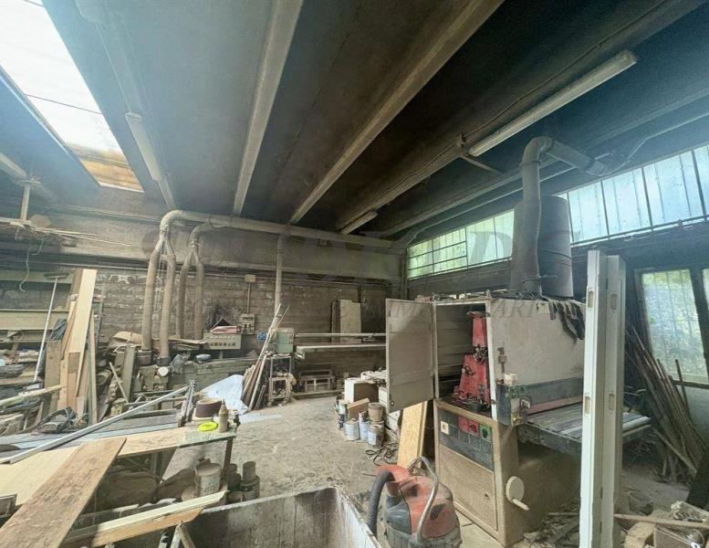 immagine annuncio 5 di 14