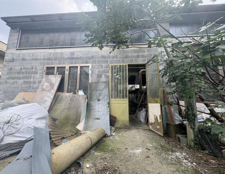 immagine annuncio 10 di 14