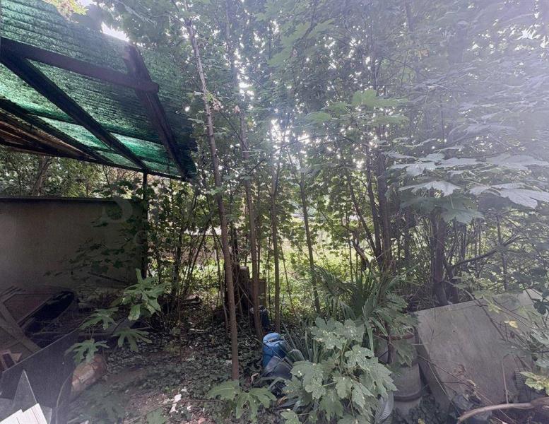 immagine annuncio 4 di 14