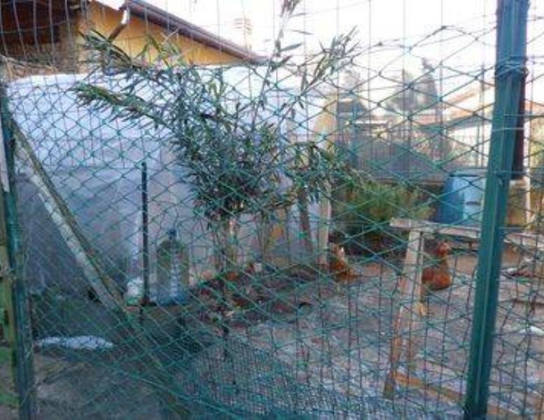 immagine annuncio 8 di 12