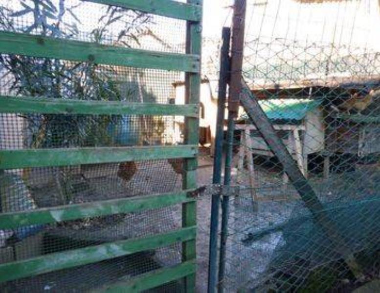 immagine annuncio 9 di 12