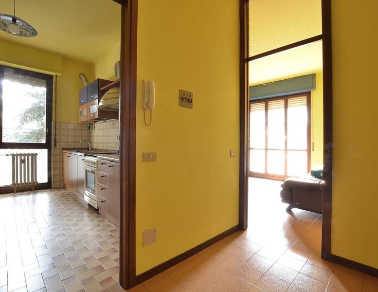 immagine annuncio 4 di 12