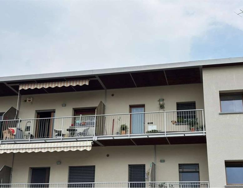 immagine annuncio 2 di 12