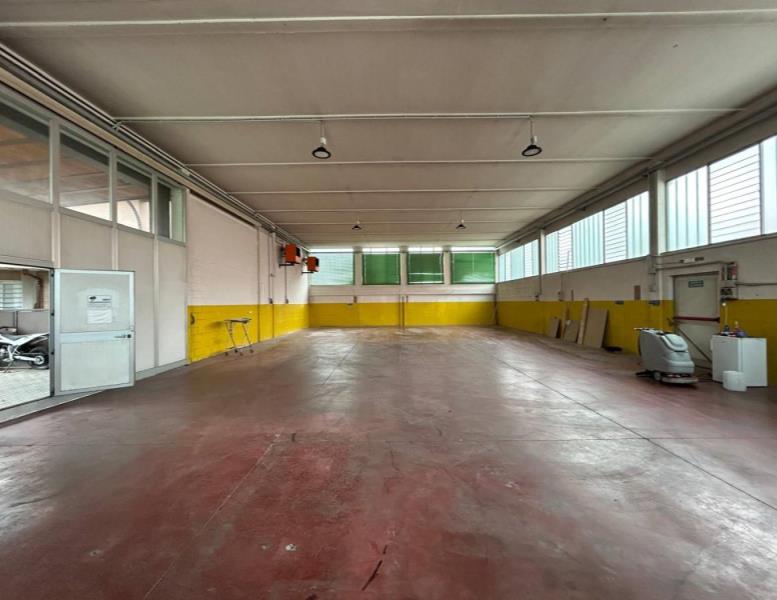 immagine annuncio 1 di 7