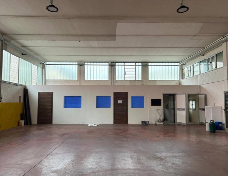 immagine annuncio 5 di 7