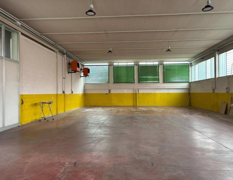 immagine annuncio 3 di 7