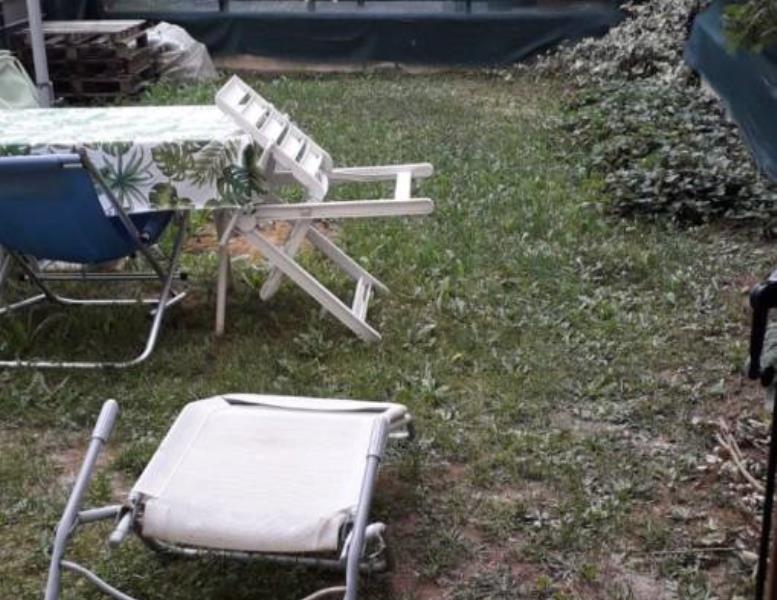 immagine annuncio 4 di 13