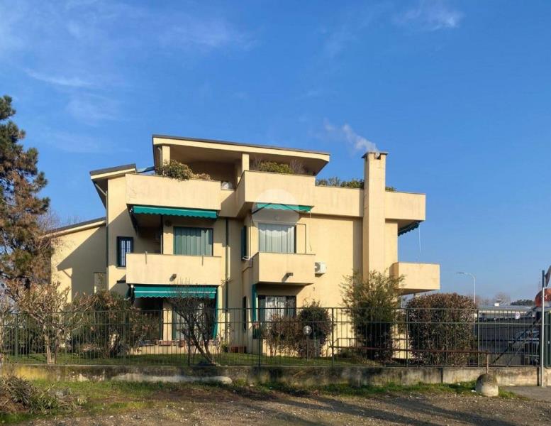 immagine annuncio 3 di 11