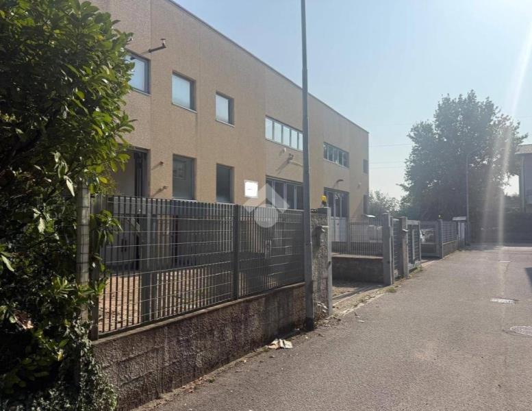 immagine annuncio 2 di 11