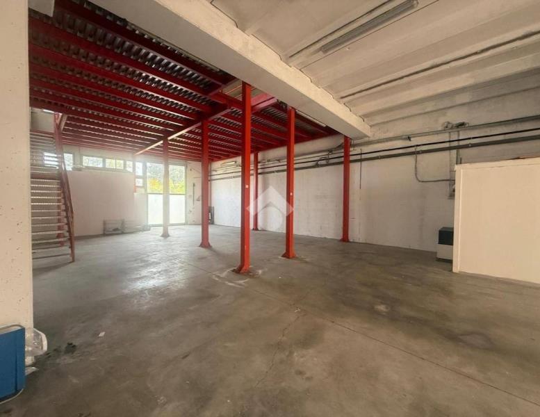 immagine annuncio 5 di 11