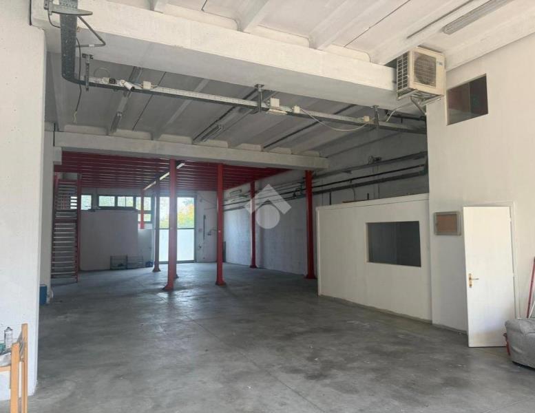 immagine annuncio 4 di 11