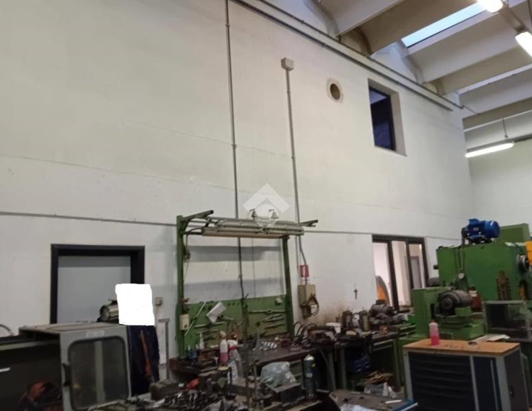 immagine annuncio 5 di 12