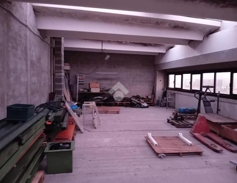 immagine annuncio 10 di 12