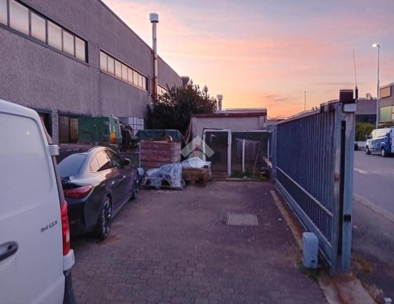 immagine annuncio 1 di 12