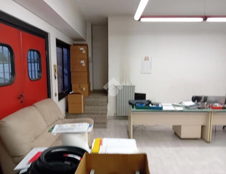 immagine annuncio 9 di 12