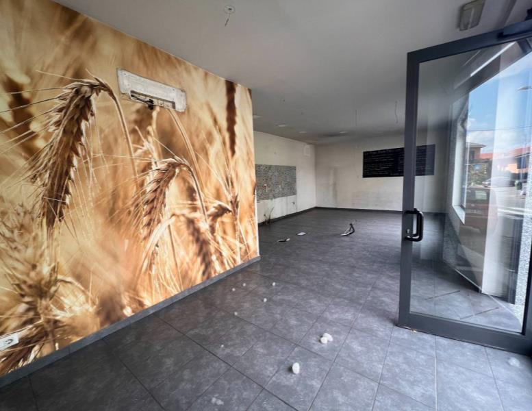 immagine annuncio 5 di 13