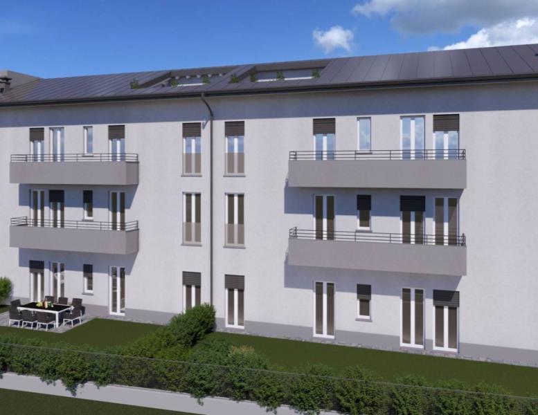 immagine annuncio 5 di 12