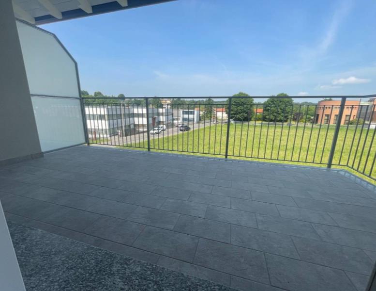 immagine annuncio 3 di 12