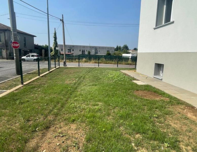 immagine annuncio 5 di 12