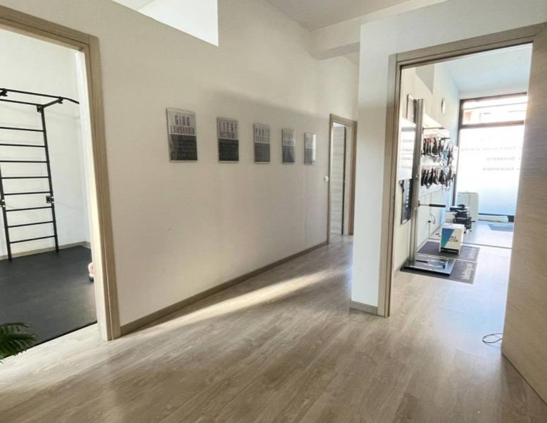 immagine annuncio 6 di 11