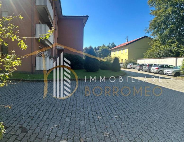 immagine annuncio 11 di 14