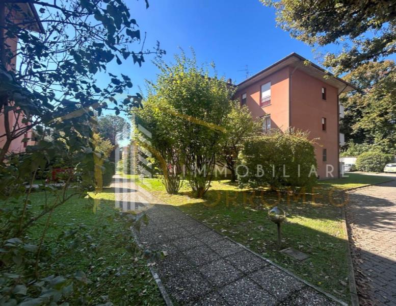 immagine annuncio 6 di 14