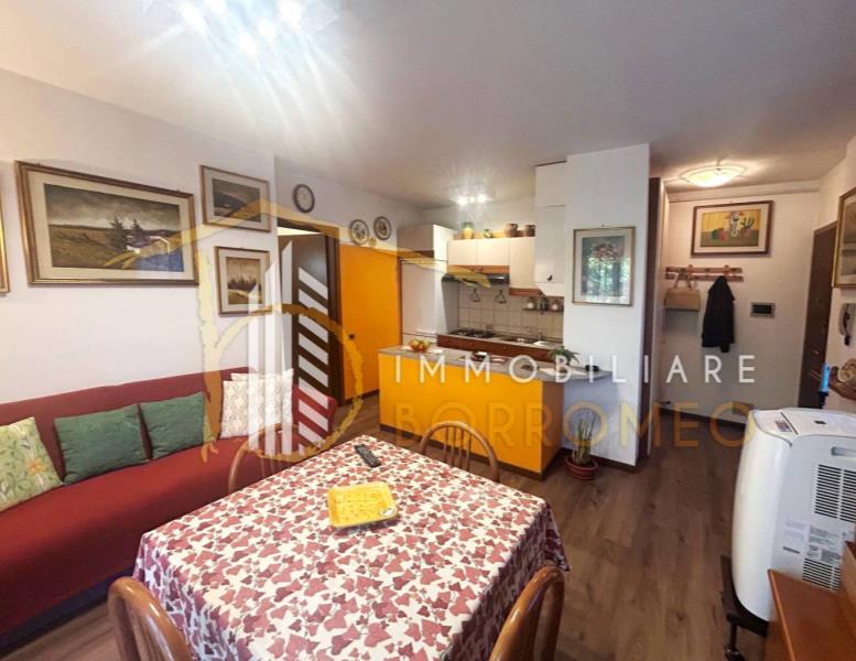 immagine annuncio 1 di 14