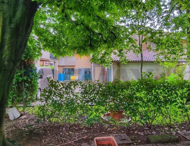 immagine annuncio 3 di 14