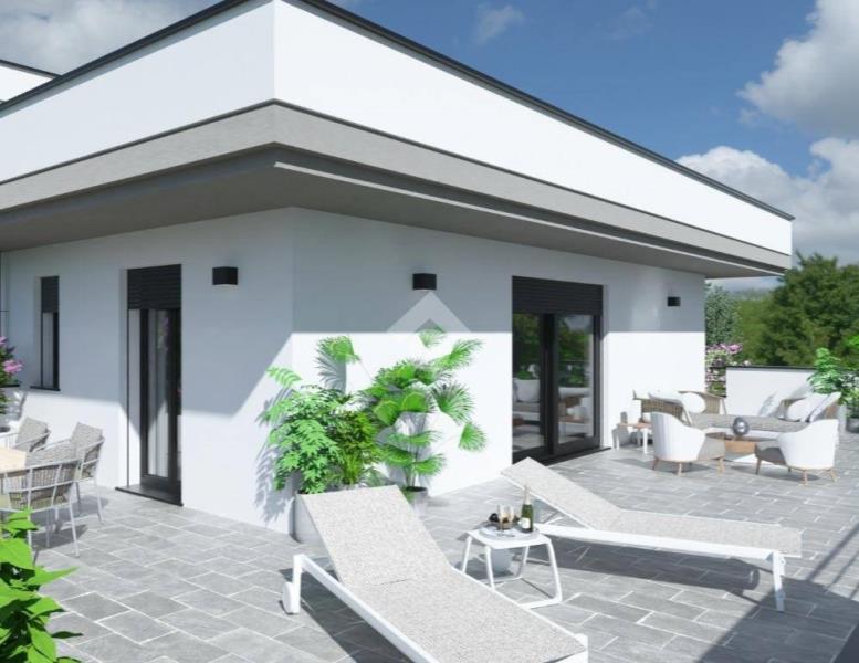 immagine annuncio 6 di 14