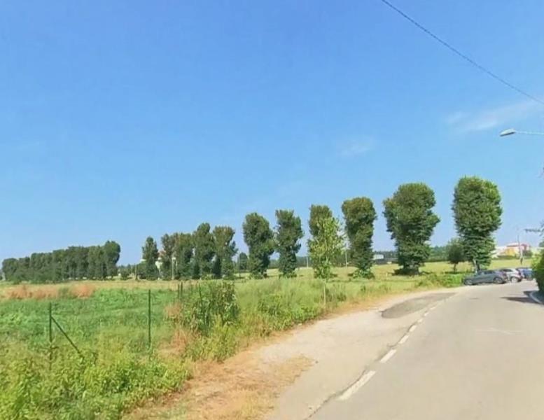 immagine annuncio 10 di 13