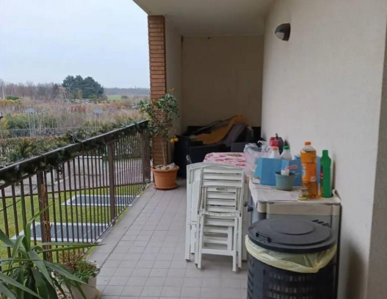 immagine annuncio 3 di 14