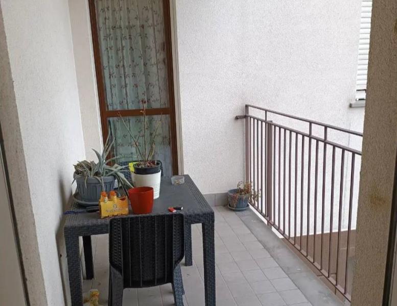 immagine annuncio 4 di 14