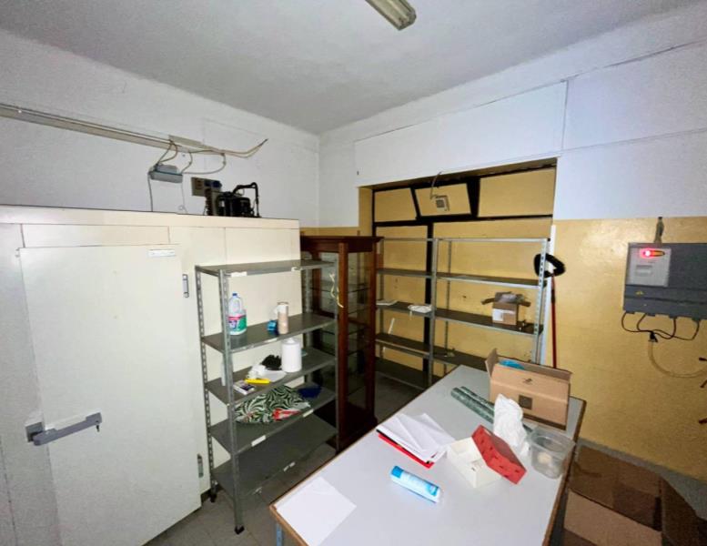 immagine annuncio 11 di 14