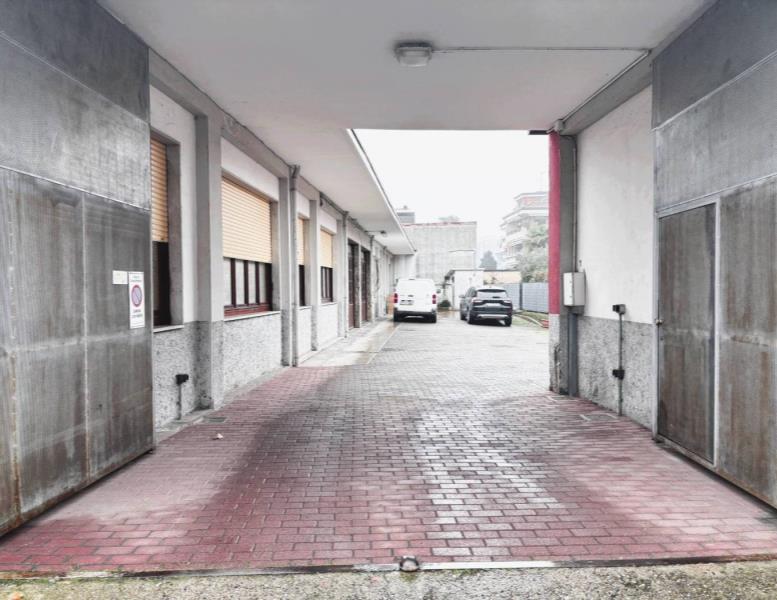 immagine annuncio 5 di 15