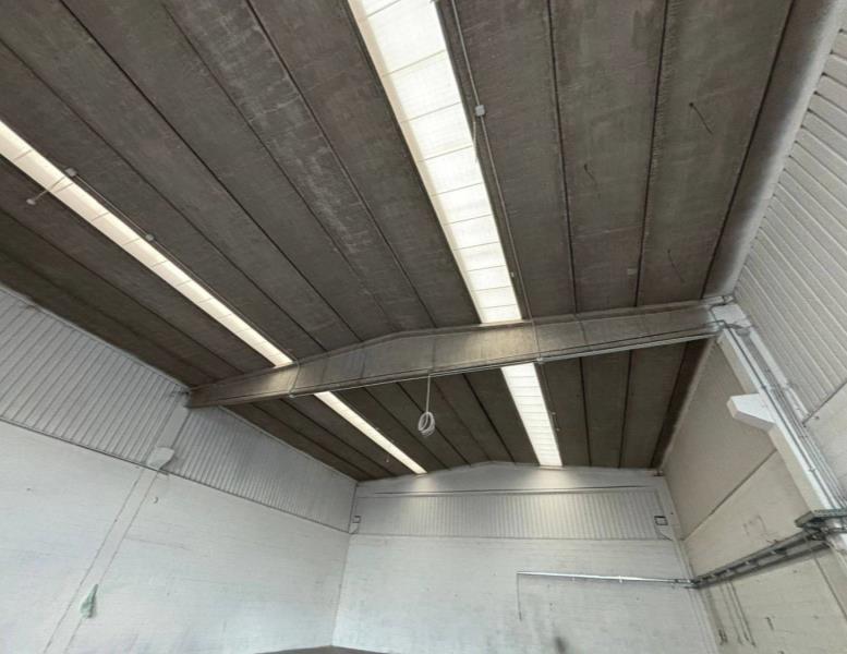 immagine annuncio 2 di 7