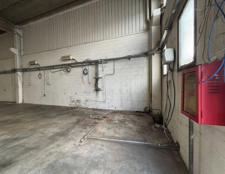 immagine annuncio 6 di 7