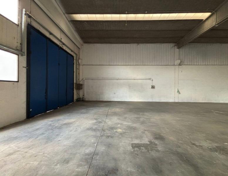 immagine annuncio 4 di 7