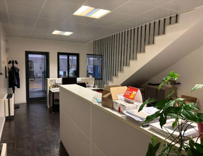 immagine annuncio 2 di 12