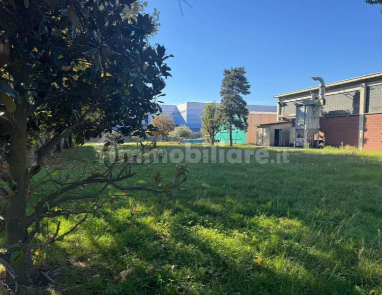 immagine annuncio 2 di 4