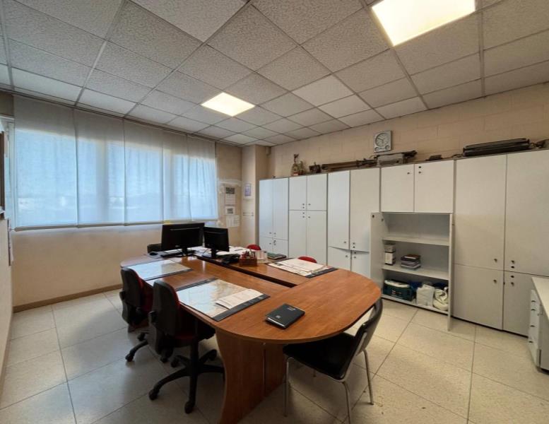 immagine annuncio 2 di 12