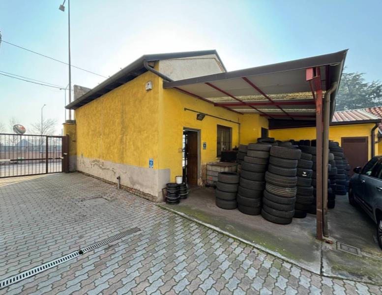 immagine annuncio 9 di 15