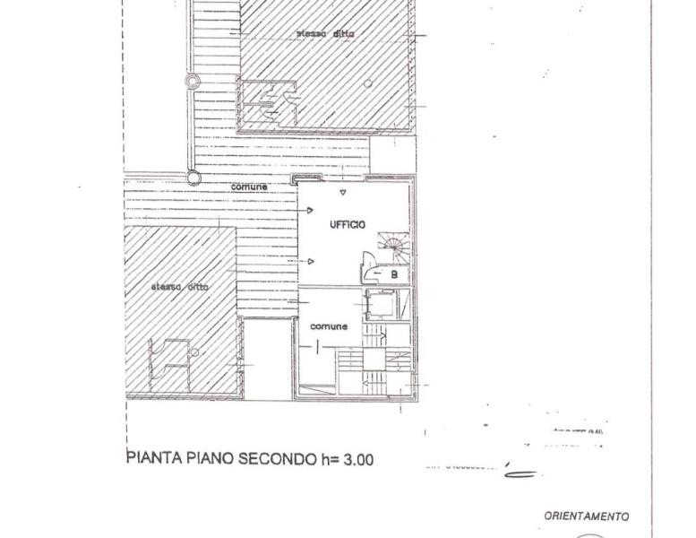 immagine annuncio 5 di 6